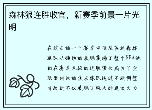 森林狼连胜收官，新赛季前景一片光明