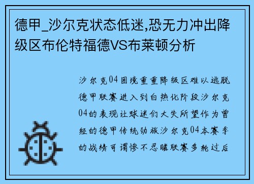 德甲_沙尔克状态低迷,恐无力冲出降级区布伦特福德VS布莱顿分析